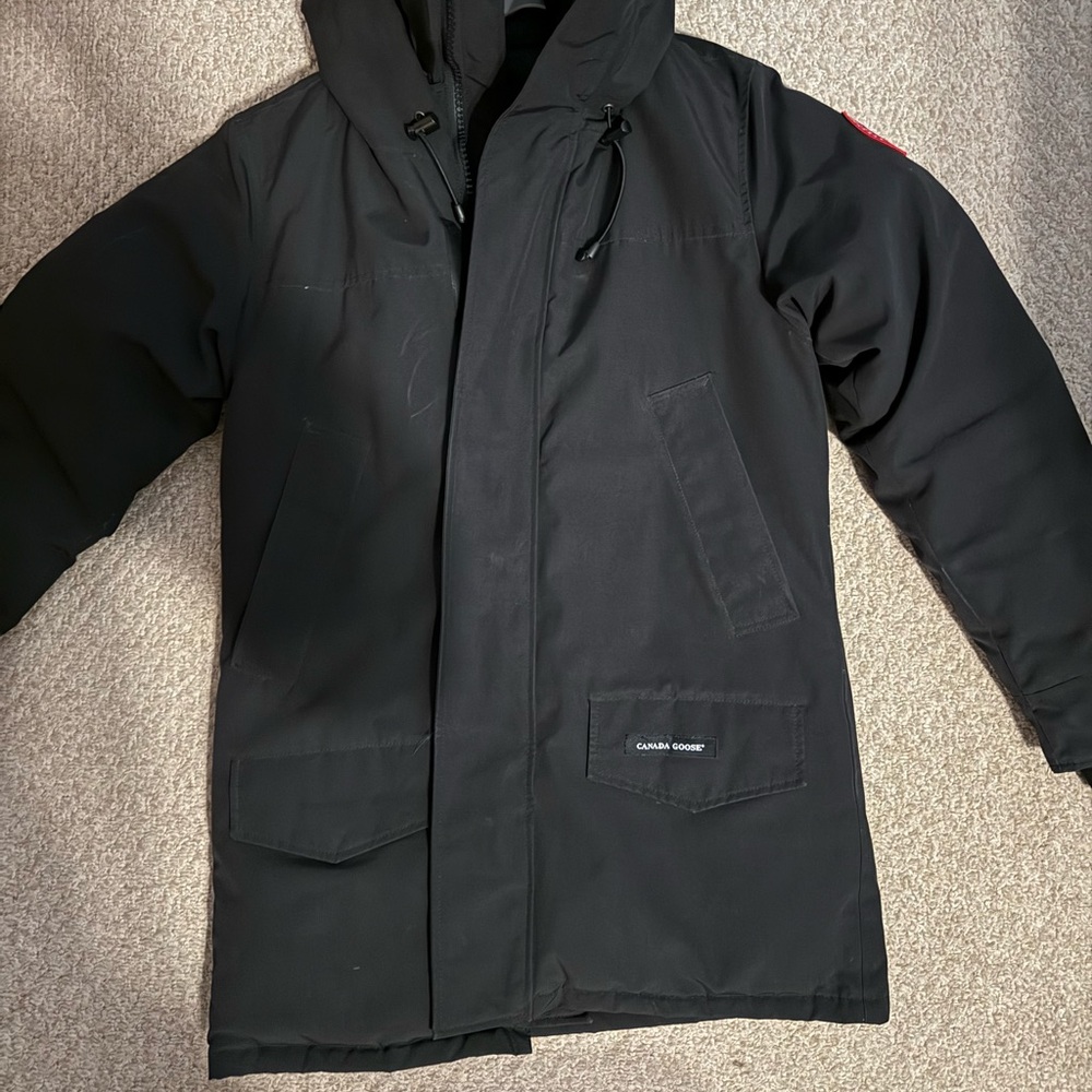 Canada goose